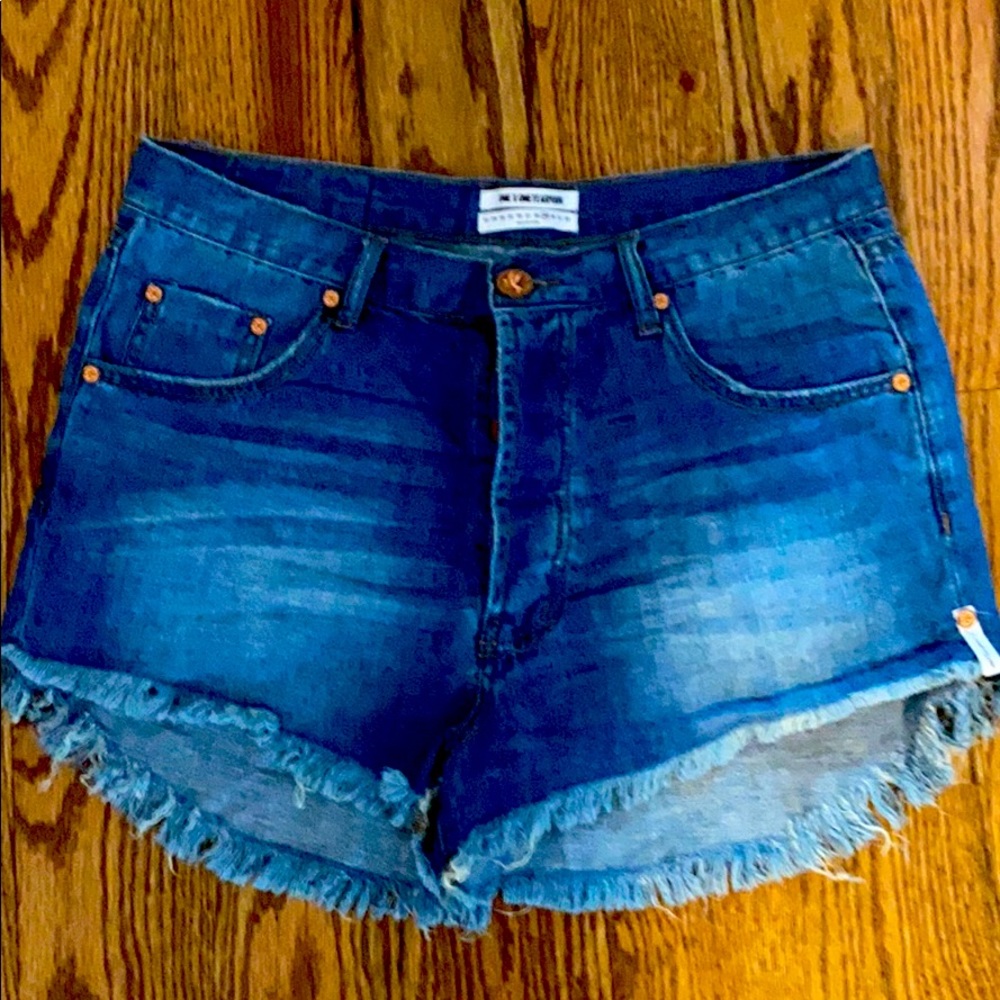 One Teaspoon high rise shorts